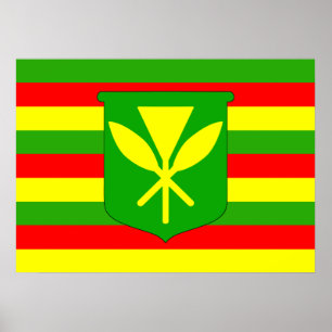 Poster Drapeau Kanaka Maoli