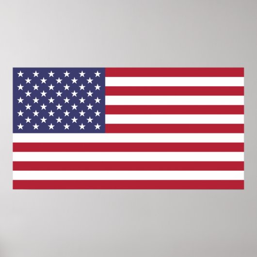 Poster Drapeau mondial des États-Unis (Devant)