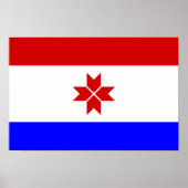 Poster Drapeau Mordovia (Devant)