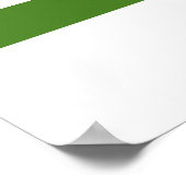 POSTER DRAPEAU OFFICIEL GENDERQUEER FIDE (Coin)