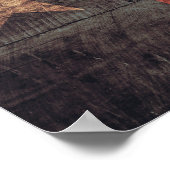 Poster Drapeau Old Wood Texas (Coin)