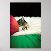 Poster Drapeau PALESTINE GRATUIT Chat (Devant)