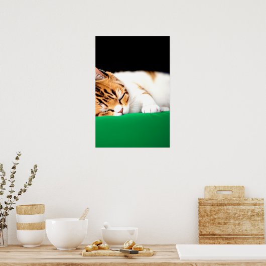 Poster Drapeau PALESTINE GRATUIT Chat (Cuisine)