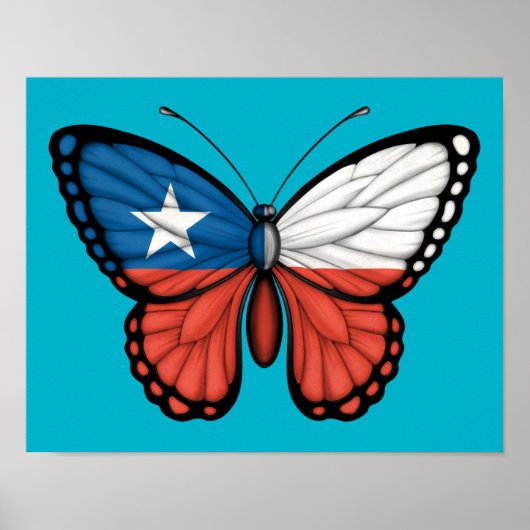 Poster Drapeau papillon chilien (Devant)