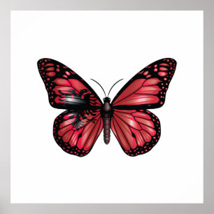 Poster Drapeau papillon monarque d'Albanie