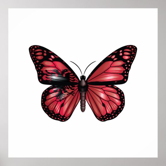 Poster Drapeau papillon monarque d'Albanie (Devant)