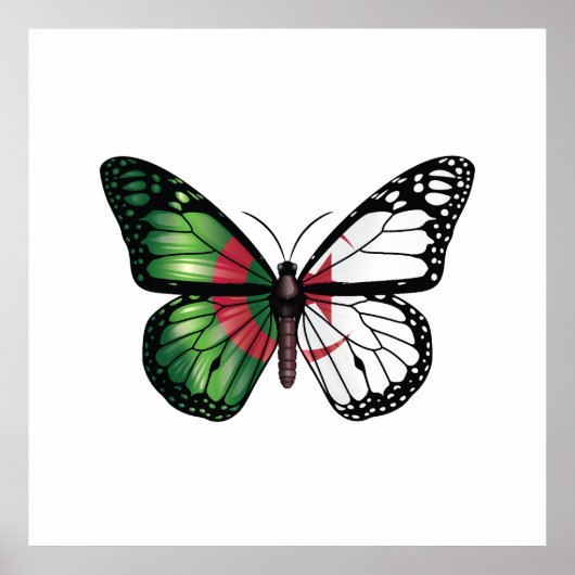 Poster Drapeau papillon monarque d'Algérie (Devant)