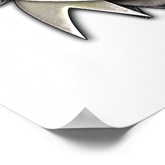 Poster Drapeau Porto Rico - Crest Shield (Coin)