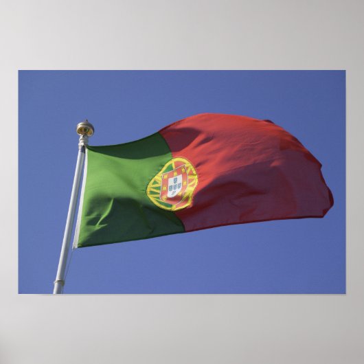 Poster Drapeau portugais RF) (Devant)