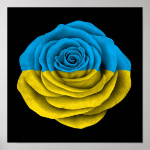 Poster Drapeau rose d'Ukrainien sur le noir