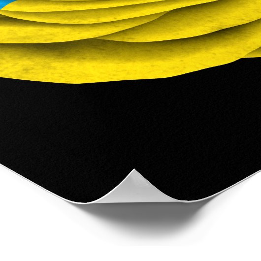 Poster Drapeau Rose ukrainien noir (Coin)