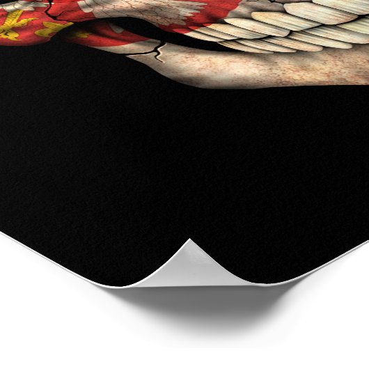 Poster Drapeau serbe en noir (Coin)