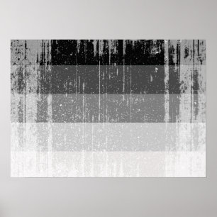 Poster Drapeau STRAIGHT en détresse -.png