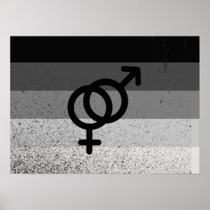 Poster Drapeau STRAIGHT ORIGINAL avec symbole -.png