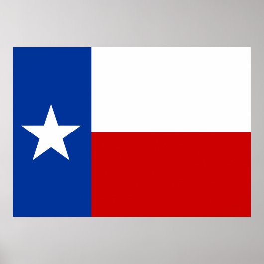 Poster drapeau texas (Devant)
