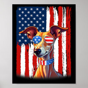 Poster Drapeau Usa Amérique Italian Greyhound Chien 4 Jui