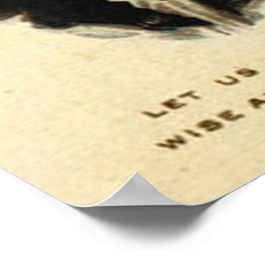 Poster Drapeau USA-George Washington (Coin)