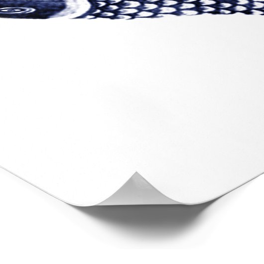 Poster Drapeaux de Koi (Coin)