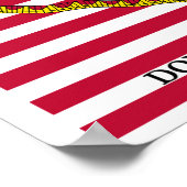 Poster Drapeaux De La Révolution Américaine (Coin)