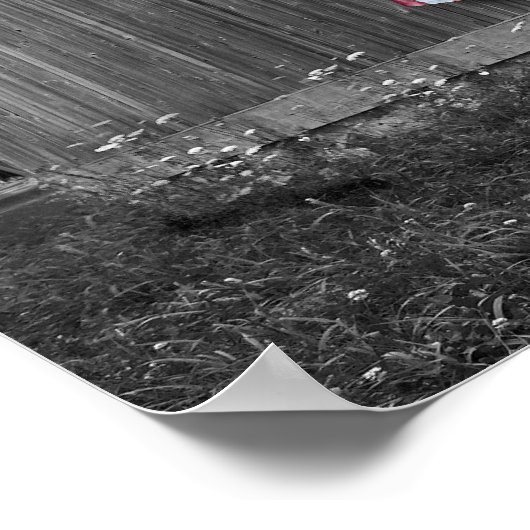 Poster Drapeaux de nos agriculteurs - Grange avec drapeau (Coin)