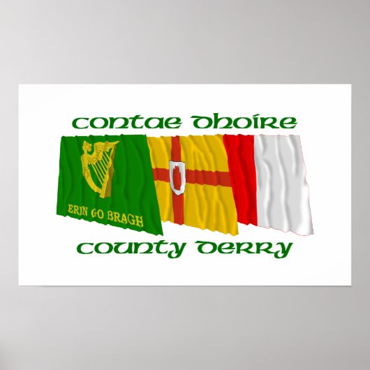 Poster Drapeaux du comté de Derry (Devant)