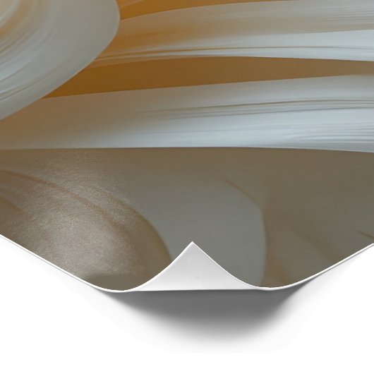 Poster Draperie éthérée en papier (Coin)