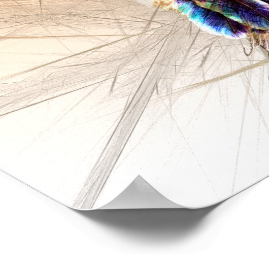 Poster Dream Catcher (Coin)