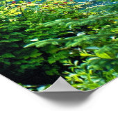 Poster Dream Lake Alaska, États-Unis & Forestry Mountains (Coin)