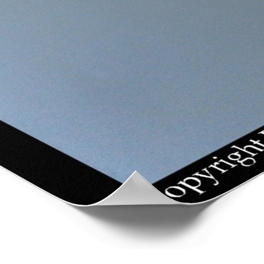 Poster Dreamcatcher (Coin)