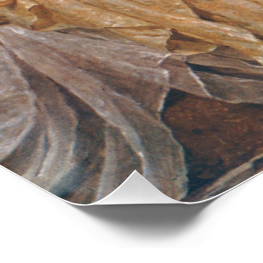 Poster Dreamers (Coin)