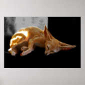 Poster Dreamland (Devant)