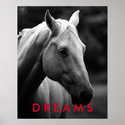 Poster Dreams Motivational Black White Closeup Horse (Devant)