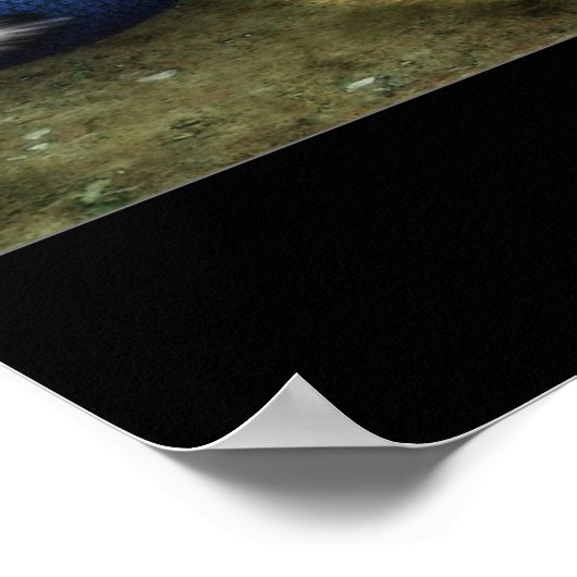 Poster Dreamspell (Coin)