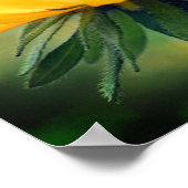 Poster Dreamy Black Eyed Susan Daisy Flower (Coin)