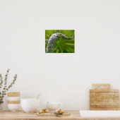 Poster Dreamy Curling Fleur sauvage blanc (Cuisine)