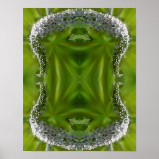 Poster Dreamy Curling Fleur sauvage blanc Abstrait (Devant)