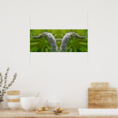 Poster Dreamy Curling Fleur sauvage blanc miroir Abstrait (Cuisine)