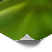 Poster Dreamy Curling Fleur sauvage blanc miroir Abstrait (Coin)