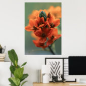 Poster Dreamy Orange Chincherinchee Fleurs (Bureau à domicile)