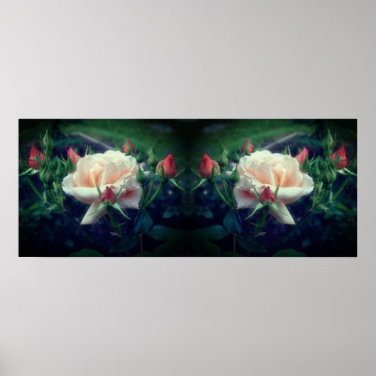 Poster Dreamy Peach Rose Et Buds Mirror Abstrait (Devant)