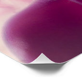 Poster Dreamy Rose (Coin)
