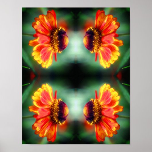 Poster Dreamy Zinnia Flower Art Abstrait (Devant)