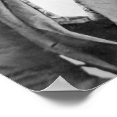 Poster Dred Scott (Coin)