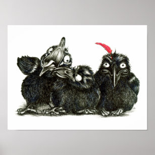 Poster Drei junge Krähen - Vogelinus - Kunst Zeichnung