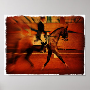 Poster Dressage