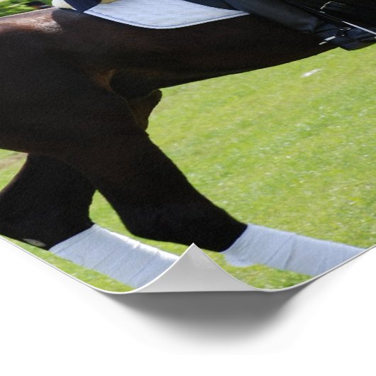 Poster Dressage Horse Rider Canvas Imprimer (Coin)