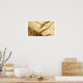Poster Drew Sullivan - Prairie Grass (Cuisine)