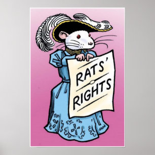 Poster Droites de rats