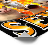 Poster Drôle 67 Mème Six Sept Chat Mème Drôle Bootleg Gra (Coin)