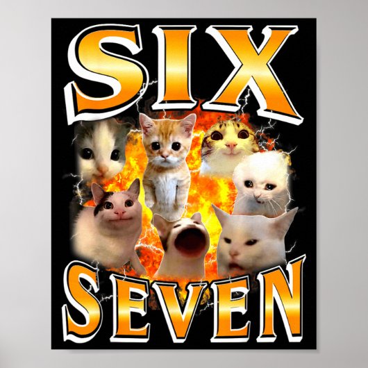 Poster Drôle 67 Mème Six Sept Chat Mème Drôle Bootleg Gra (Devant)